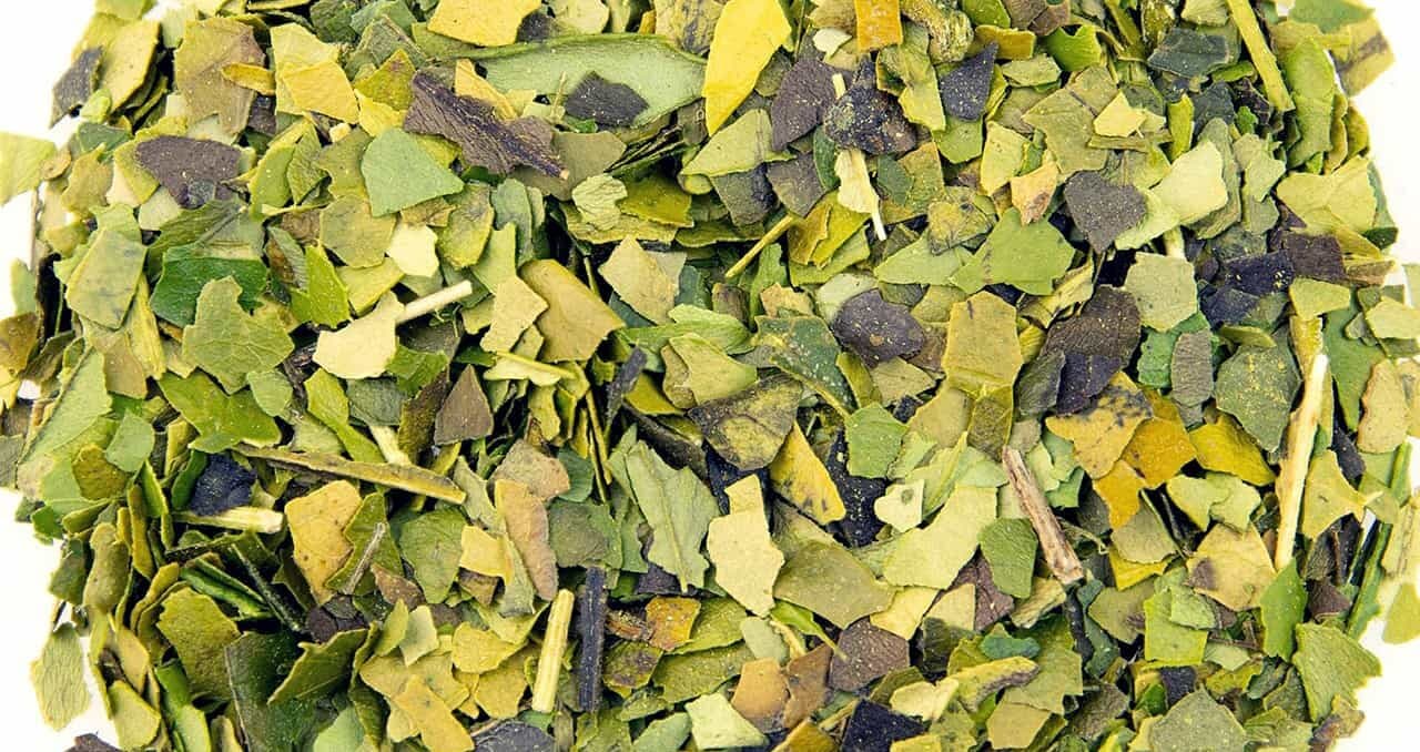 Guayusa Tee: Der Amazonische Energie-Booster im Vergleich zu Kaffee und Tee